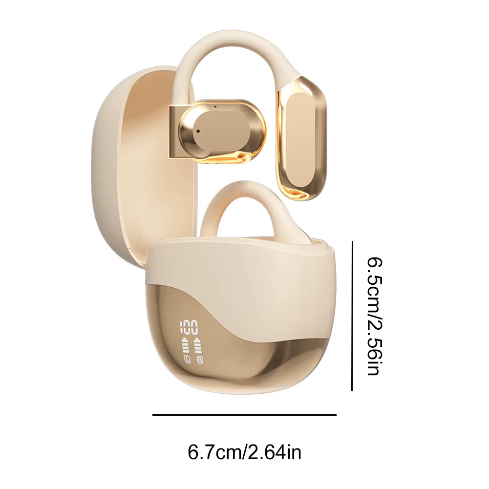 Real Time AI Translator Earbuds