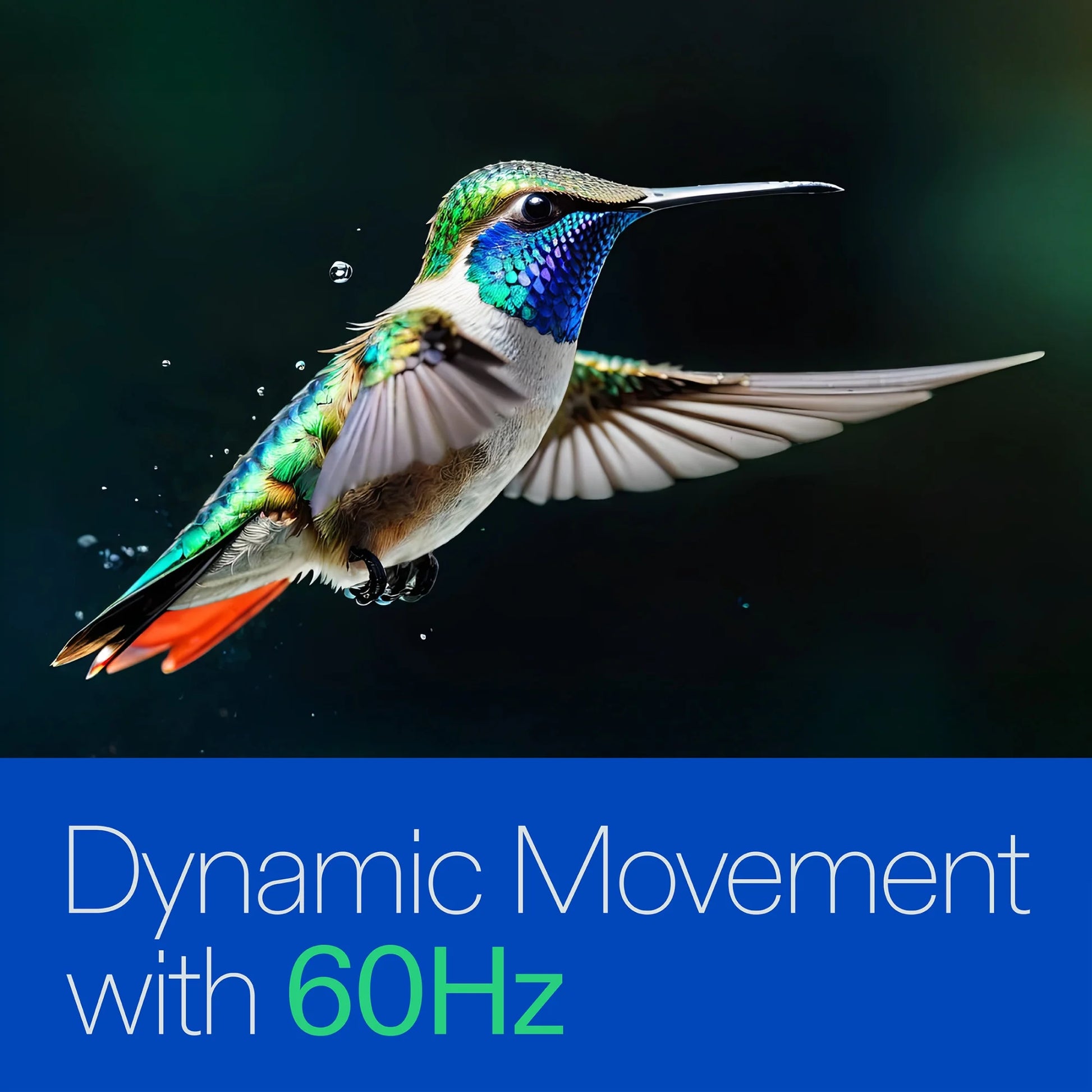 43” Class 4K UHD (2160P) LED Roku Smart Television