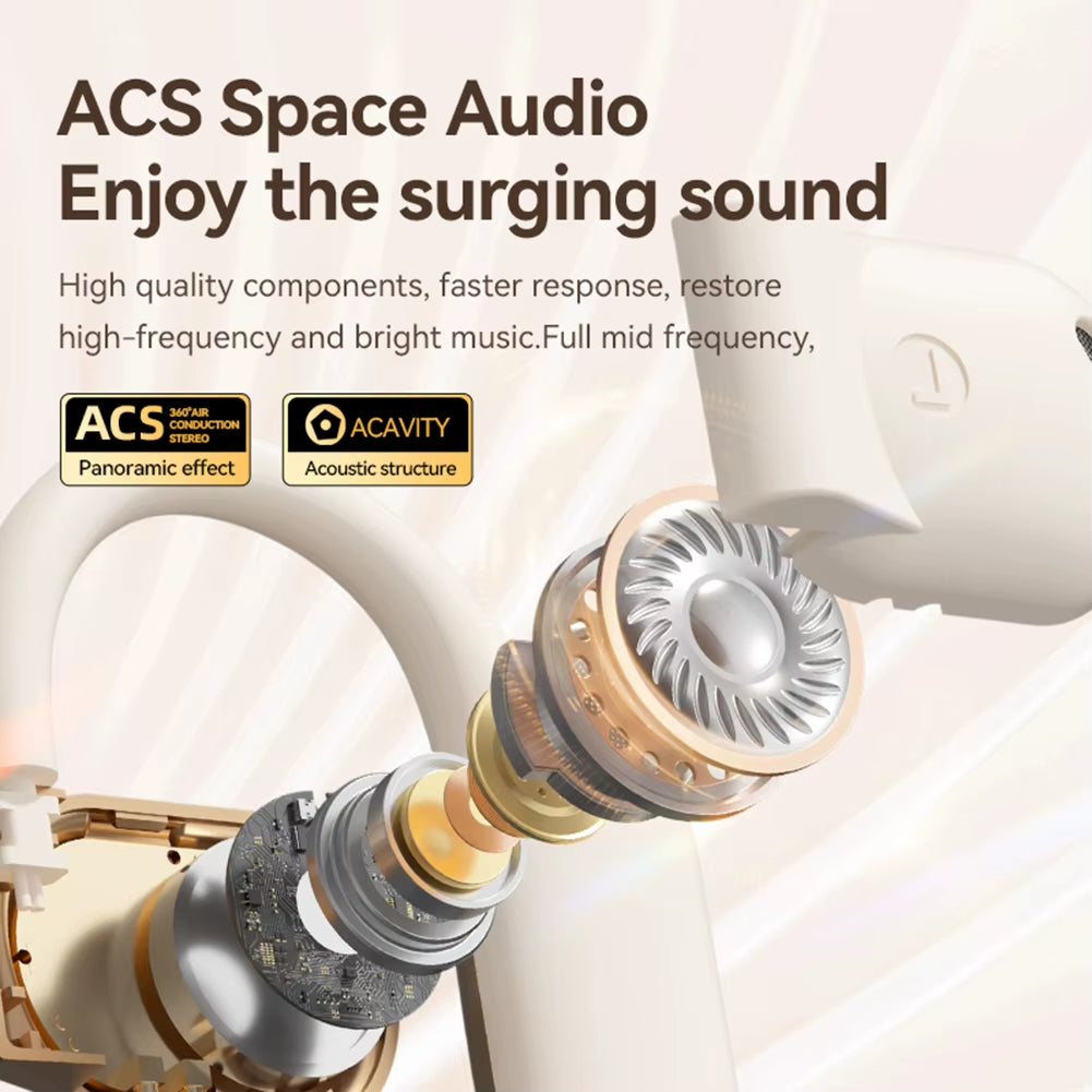 Real Time AI Translator Earbuds