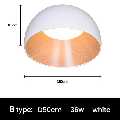 Modern Bedroom LED Ceiling Lamp