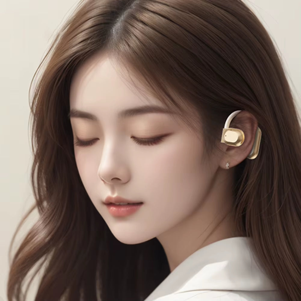 Real Time AI Translator Earbuds